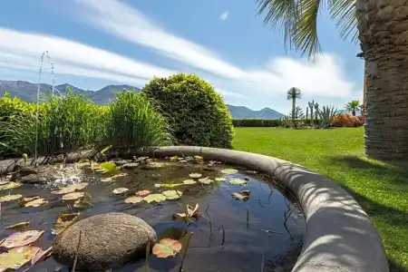 Villa Orselina - 25