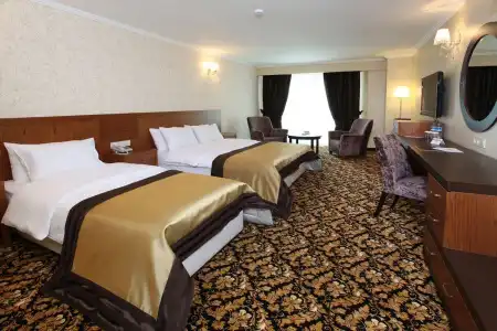 Arya Business Deluxe - 2