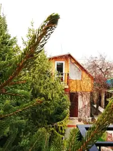 Petrovskaya Pristan 2 Guest House - 20