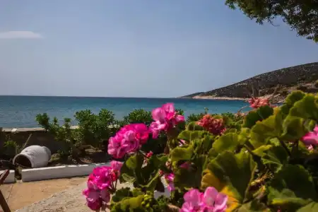 Pension Ageliki - 11