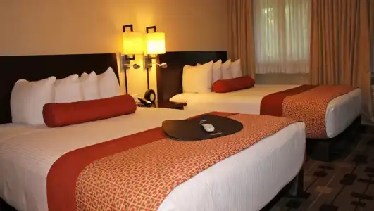 The Zen Palo Alto - 68