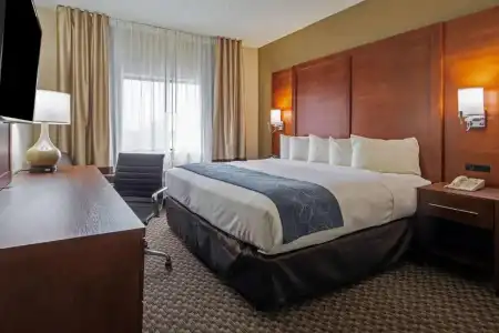Comfort Suites University Las Cruces - 38