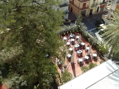 delle Palme - 14