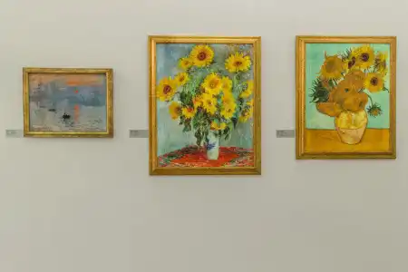 Art & Wine Boutique - 15