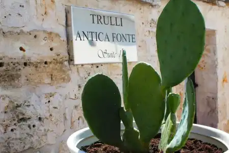 Trulli Antica Fonte - 29