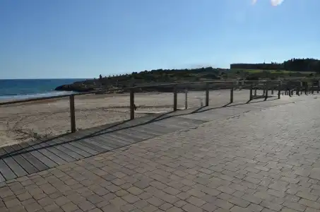 Sant Jordi - 12