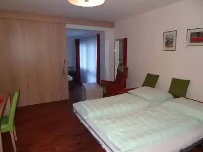 Hotel-Gasthof Unterwirt - 44