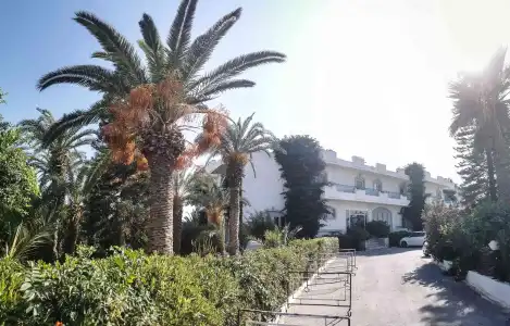 Gorgona - 17