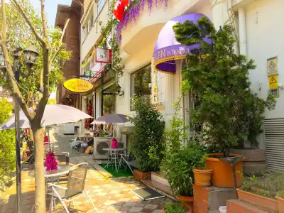 Aslan Istanbul - 15