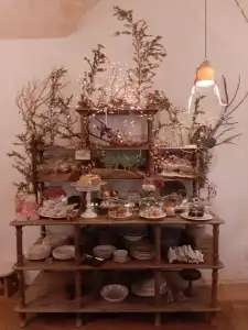 971 Con Encanto - 19