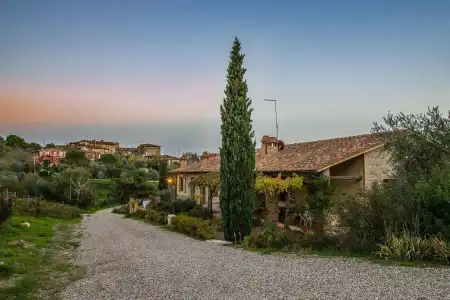 Fattoria di Corsignano - 18