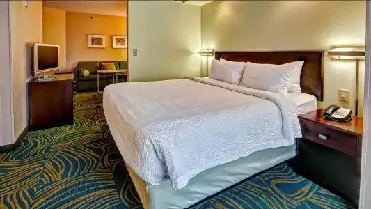SpringHill Suites Marriott Norfolk Old Dominion University - 36