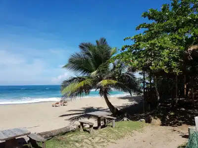Cabarete Boutique Ecolodge Beachfront - 17