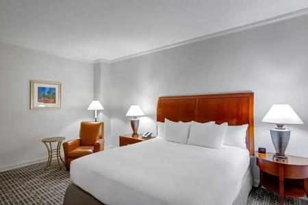 Hilton Houston Post Oak by the Galleria - 68