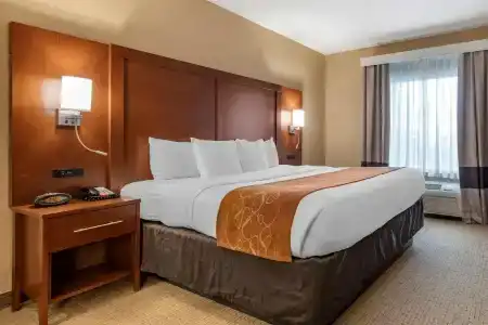 Comfort Suites Orlando Airport - 60