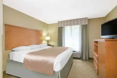 Super 8 Savannah - 3