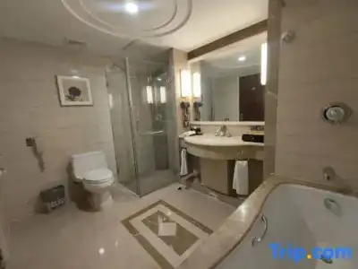 Beijing Henan Plaza - 20