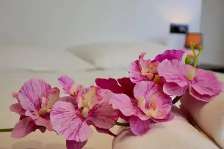 TUI SUNEO La Conchiglia - Adults Only Resort & Spa - 41