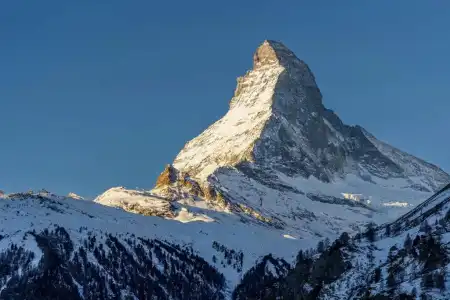 Alpenroyal - 83