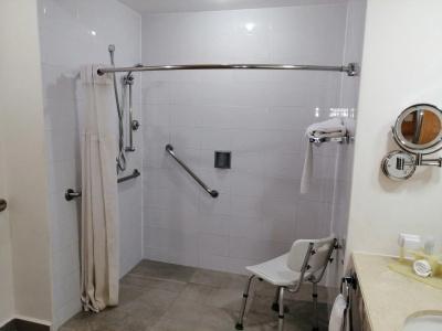 Holiday Inn Express Mexico Reforma by IHG - 10