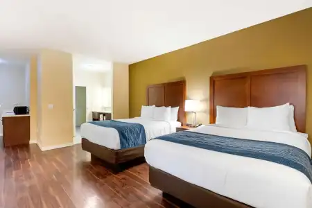 Comfort Inn & Suites near Ontario Airport - 4