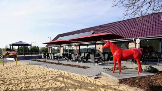 Rotes Einhorn - 15