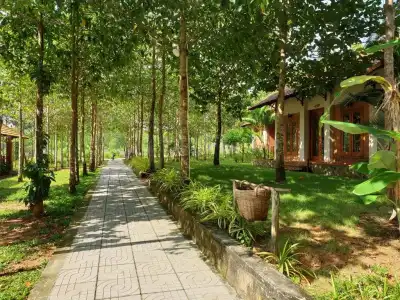 The Garden House Phu Quoc Resort - 355