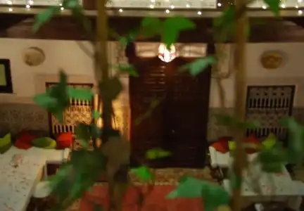 Riad Les Oliviers & Spa - 29