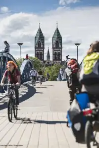 Schwärs Löwen Freiburg - 16
