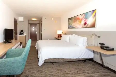 Hilton Garden Inn Daytona Beach Airport - 5