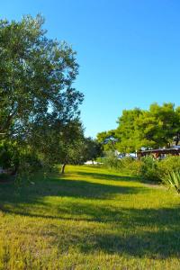 Marpunta Resort - 39