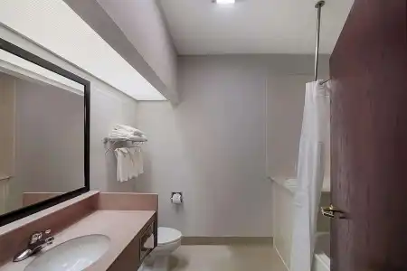 Quality Inn & Suites Irving DFW Airport South - 49