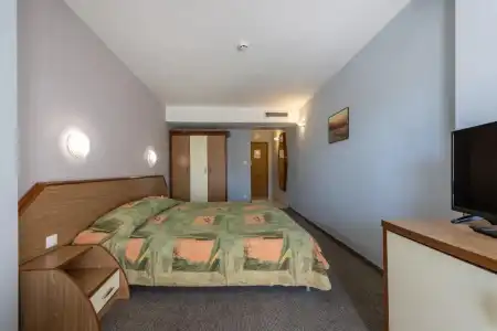Hrizantema- All Inclusive - 49