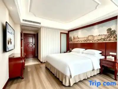 Vienna (Shenzhen Railway Station) - 25