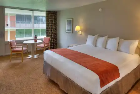 Ramada by Wyndham Kissimmee Gateway - 60