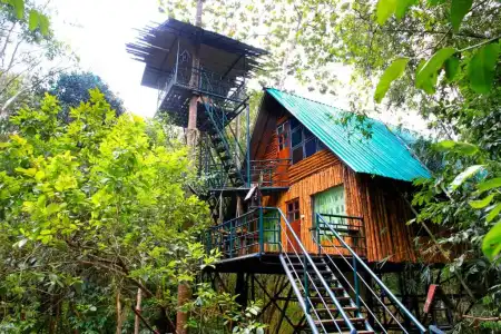 Khao Sok Tree House - 32