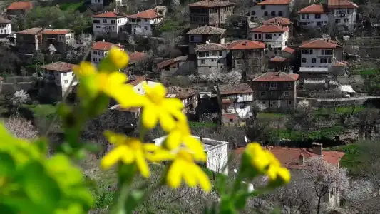 Demirkapi Konak - 49