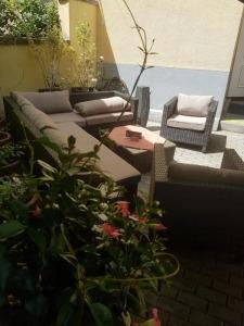 Schweizer Stubb - 15