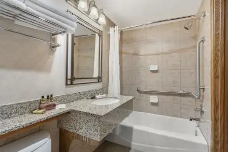 Best Western Plus Silver Saddle Inn - 8