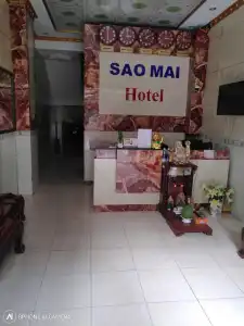 Sao Mai - 12