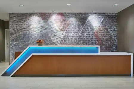 SpringHill Suites by Marriott Charlotte at Carowinds - 13
