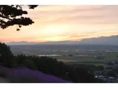 Hanafuji Inn - 6
