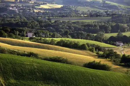 Tenuta Santi Giacomo e Filippo - 30