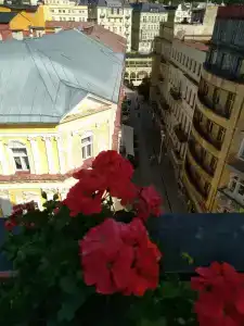Flora - 0