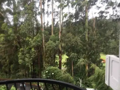 Panorama Green View - 35