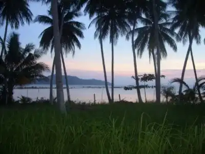 The Beach Samui - 110