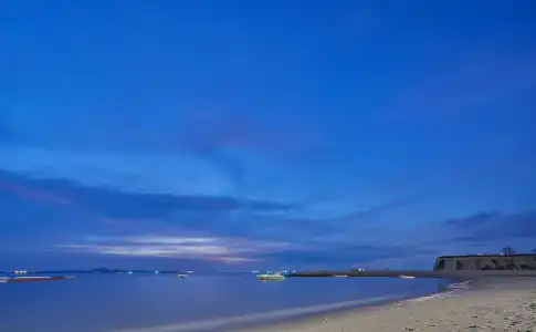 Floral Dolphin Circle Pattaya - 26