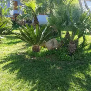 B&B Villa Francesco - 14