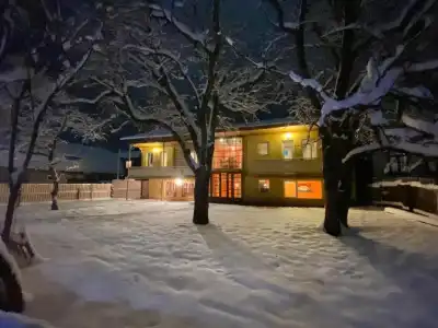 ArtVilla Bakuriani - 75