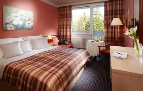 Orea Resort Sklář Harrachov - 28